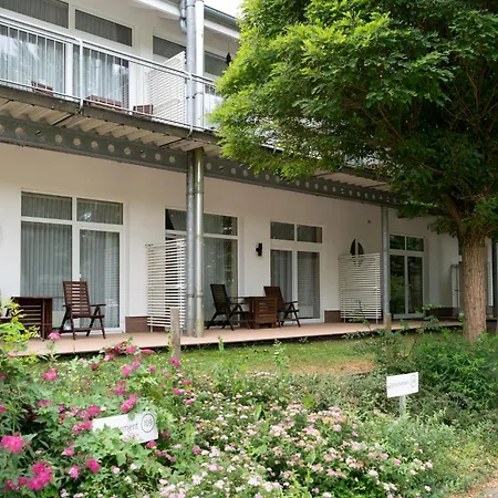 Schneeeule 221 Granzow