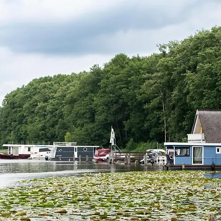 Schneeeule 221 * Granzow